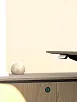 Кабинет руководителя Ион